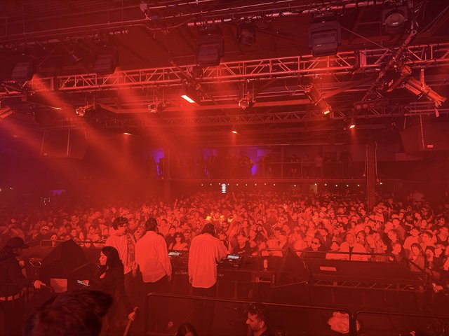 Red Light Concert Energy: DJ Performance at Packed Venue