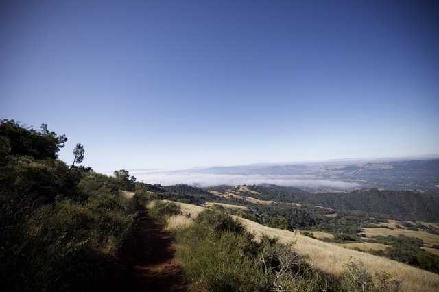 Above the Fog Layer on Mount Diablo Trail