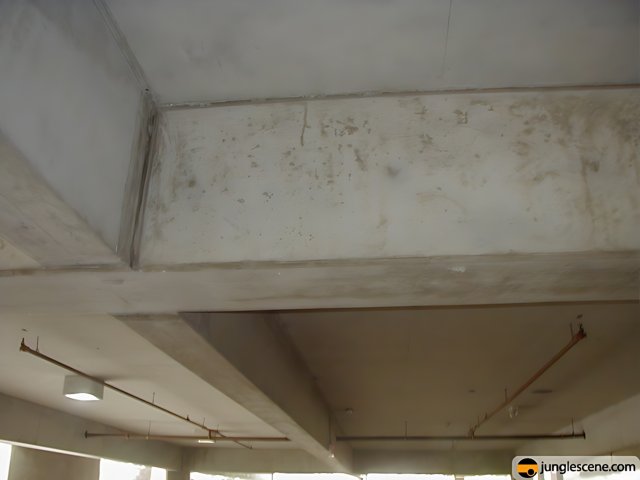 Mold Takes Over the Ceiling of an Office Building