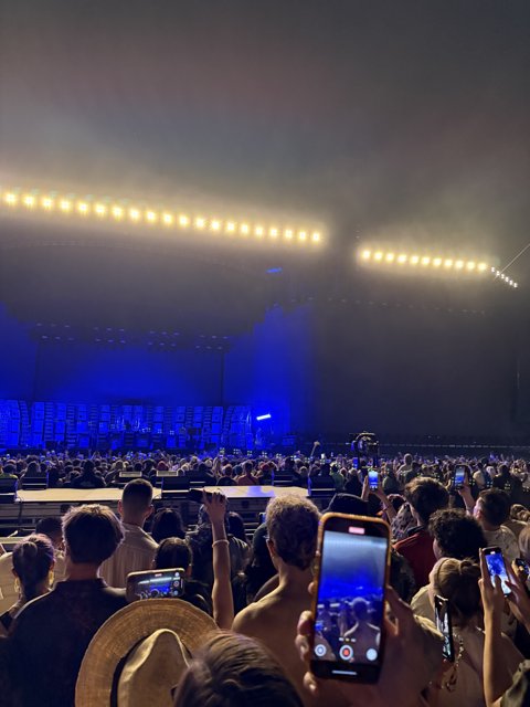Electric Night Under the Desert Sky