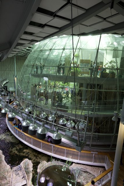 The Glass Dome Housing a Metropolis