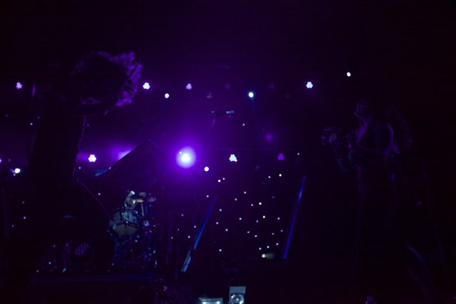 Purple Spotlight on Concert Performance