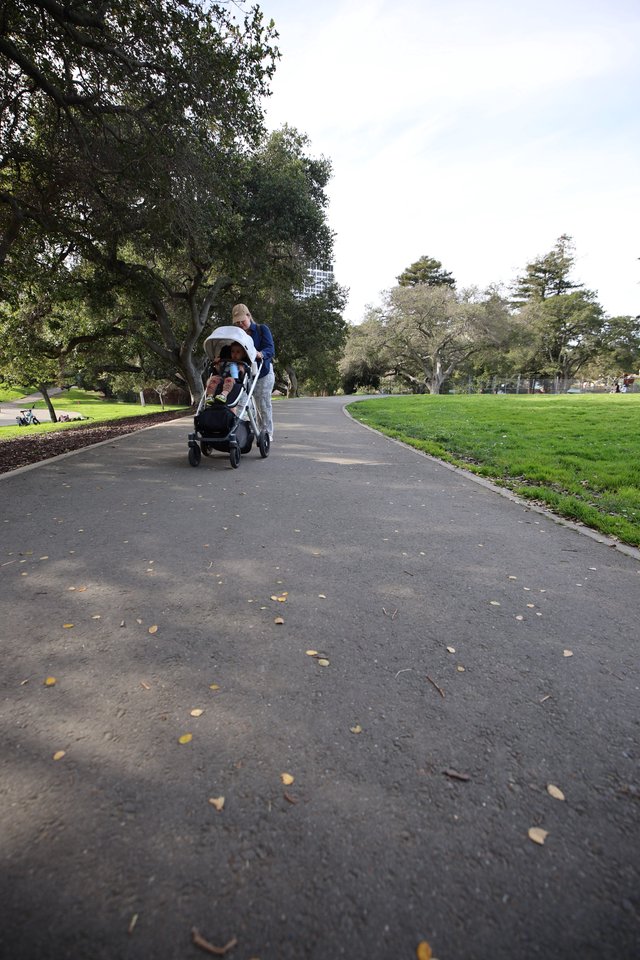 Family Stroll Through the Park on an Overcast Day