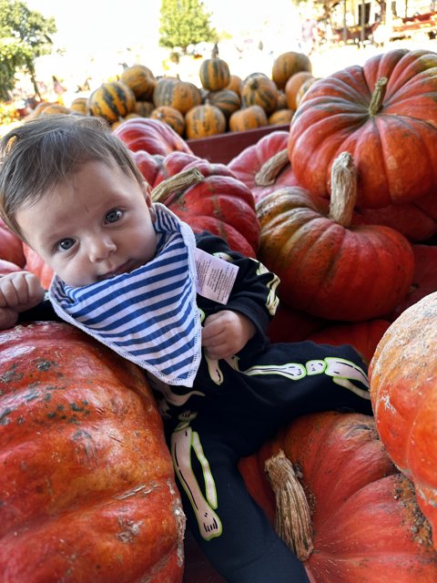 Baby Wesley's Pumpkin Pile Fun