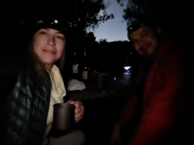 Nighttime Journey in Presidio