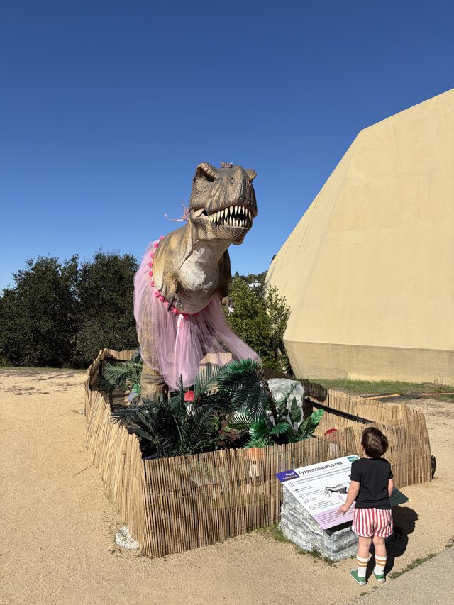 Child Observes T-Rex Wearing Pink Tutu Display