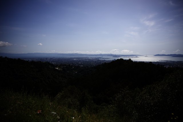 Berkeley's Breathtaking Bay View