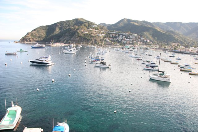 Boat harbor with stunning skyline view