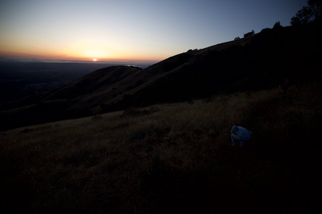 Golden Sunset Descends Over Mount Diablo Hills