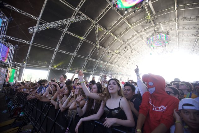 Coachella Crowd Enjoys Musical Bliss