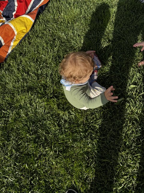 Little Explorers in the Garden