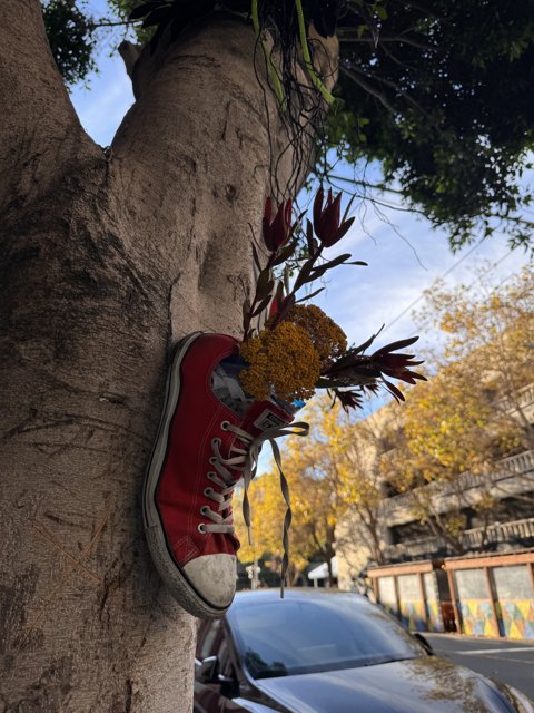 Floral Footwear Finesse by the Road