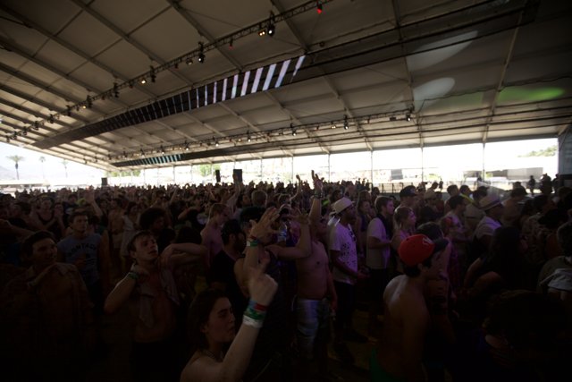 Backs and Heads in the Coachella Crowd