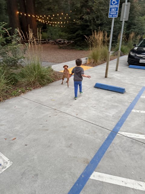 Evening Adventure in Guerneville