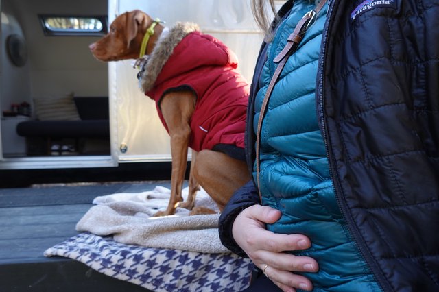 Winter RV Adventure with Bundled Companions