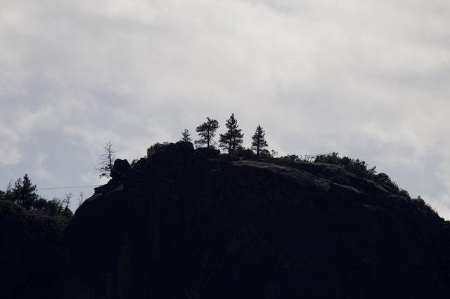 Silhouetted Rocky Summit with Pine Trees at Dusk