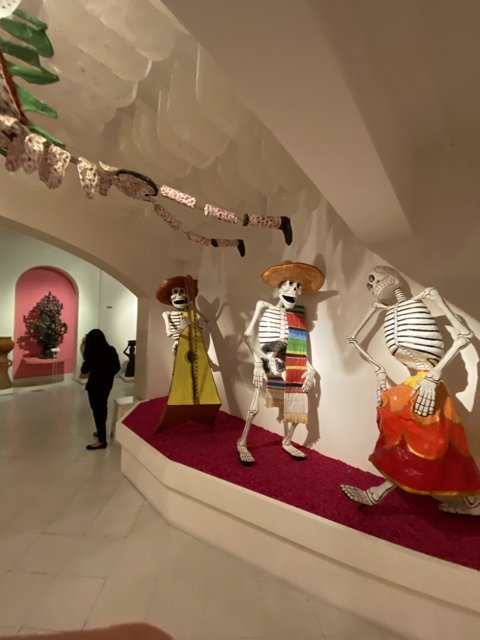 The Skeleton Gallery