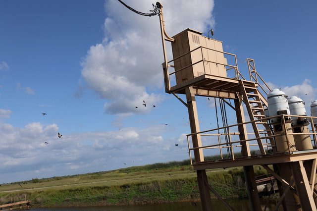 Elevated Monitoring Station in Wetland Grasslands at Dusk