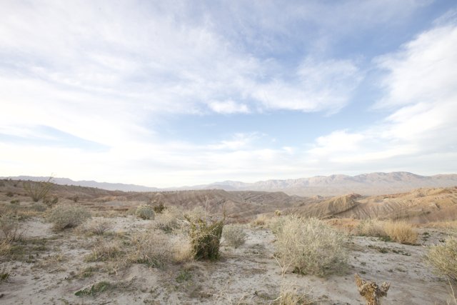 Overlooking the Vast Desert Landscape