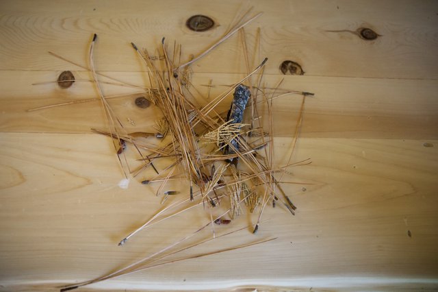 Aftermath of Nail Mishap on Wood Surface