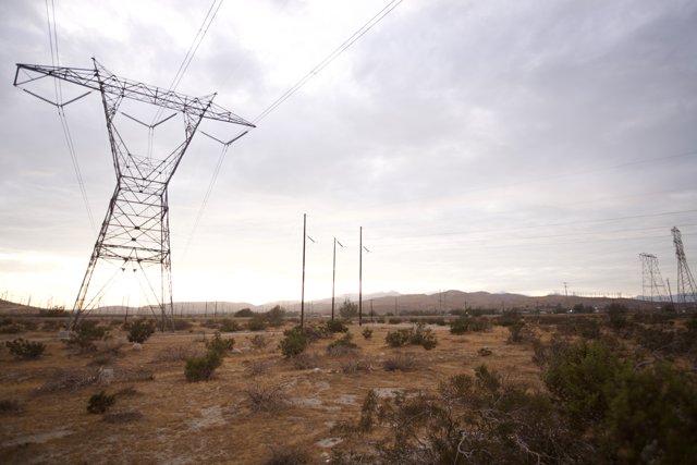 Towering Energy in the Desert