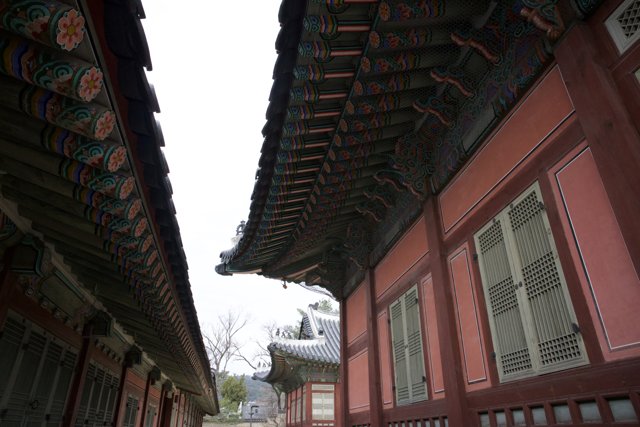 Sacred Skyline: Korean Monastery in 2024