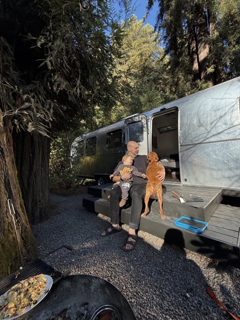 Serenity in the Redwoods