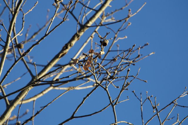 Winter's Embrace at Firefall Ranch