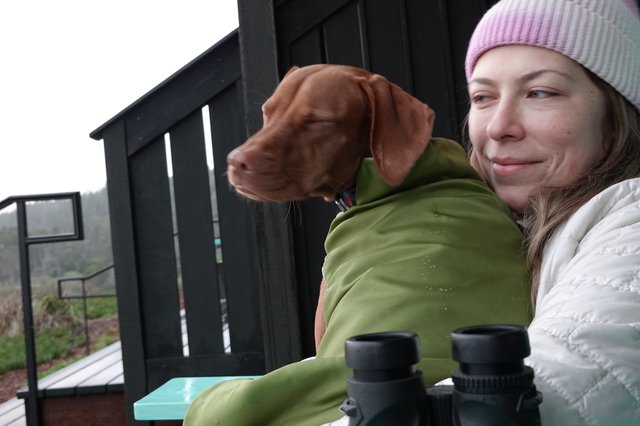 Woman and Dog Share Quiet Winter Morning