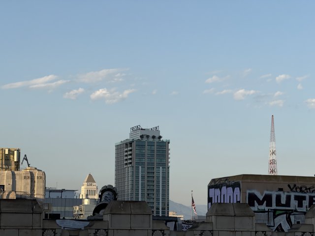 Urban Tranquility in Downtown LA