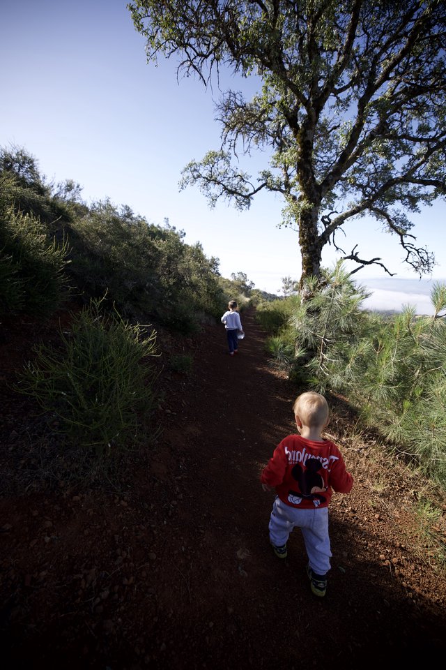 Young Explorers Hiking the Red Dirt Trail