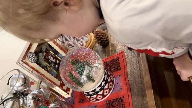 Child Mesmerized by Christmas Snow Globe Display
