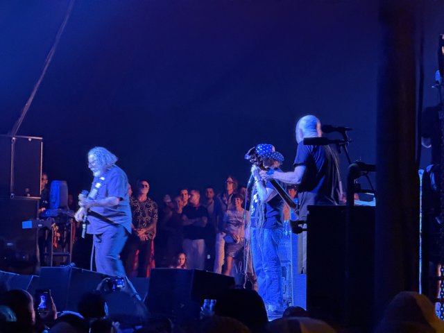 Electric Vibes in Indio