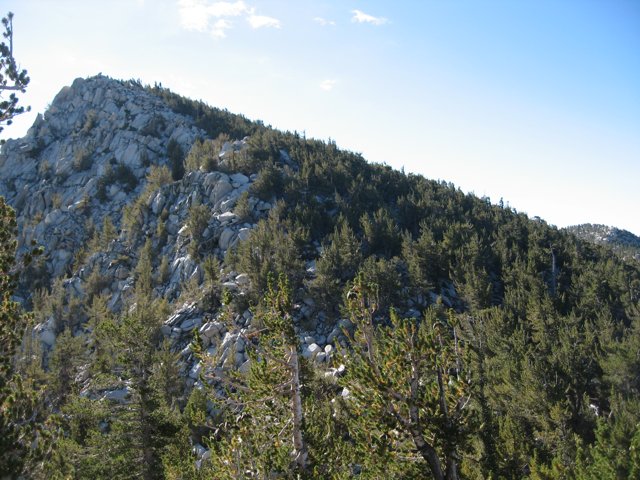 Evergreen Mountain Peak