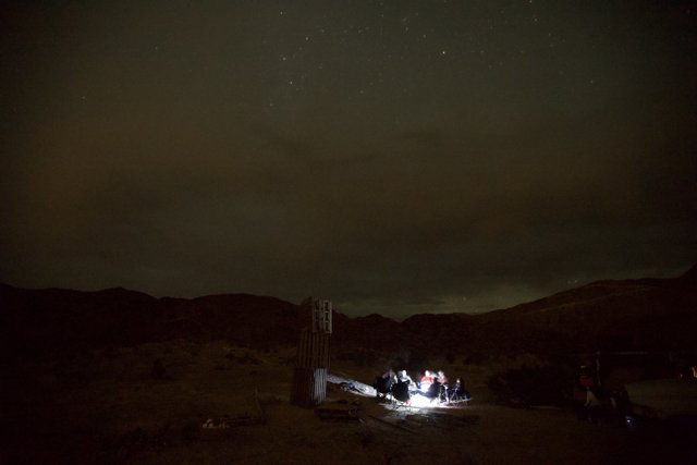 Stargazing on a Desert Night