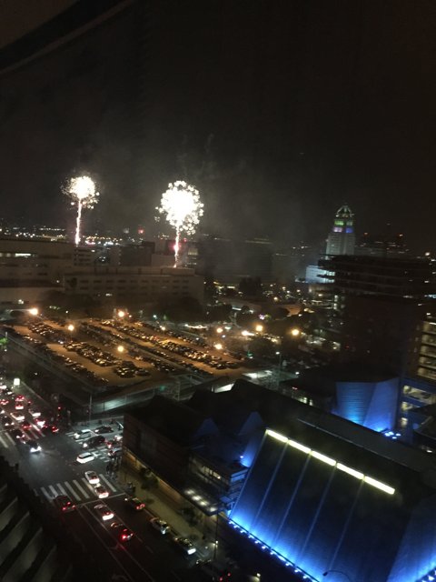 Fireworks Light Up the Urban Night Sky