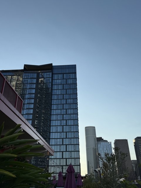 Urban Elegance in the Heart of Los Angeles