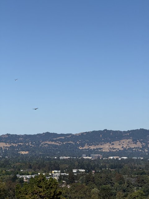 Skies of Lime Ridge: A Harmony of Nature and Cityscape