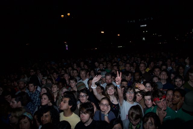 Nighttime Concert Crowd