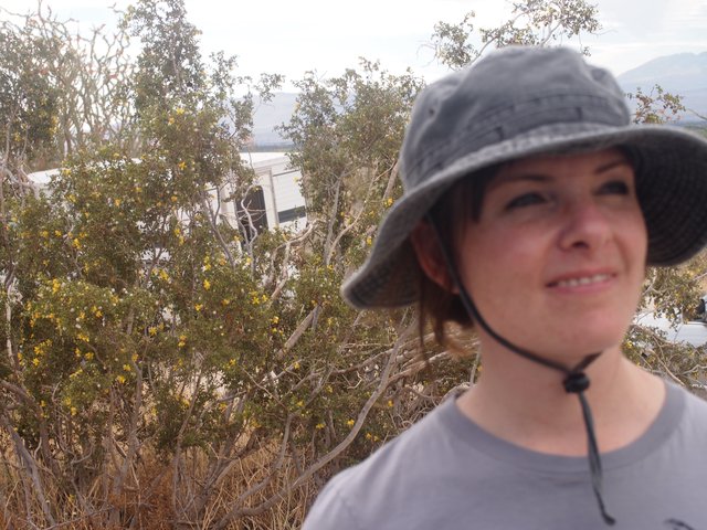 Desert Hiker Smiling Amid Blooming Chaparral Shrubs