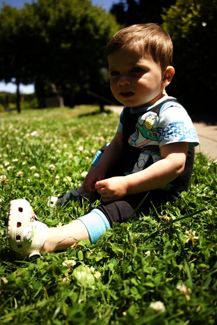 Innocence in the Grass: Summer Playtime