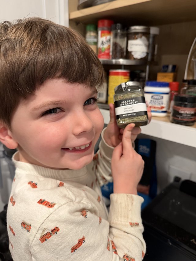 Young Boy Holding Organic Rosemary in Kitchen