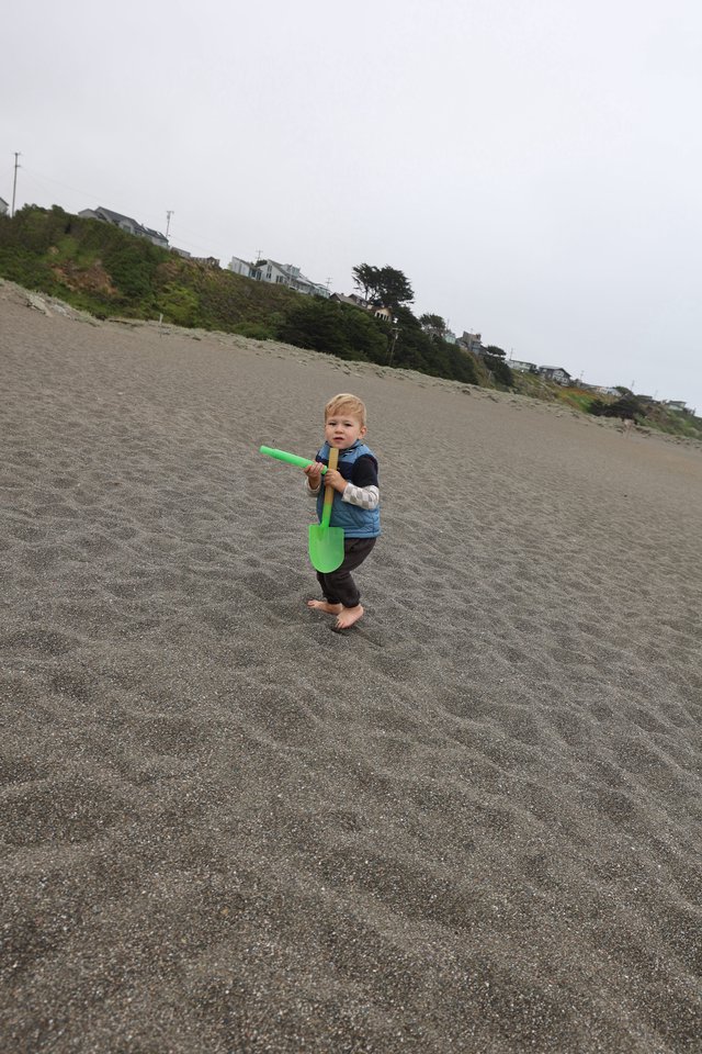 Toddler Explorer Armed with Green Shovel at Beach