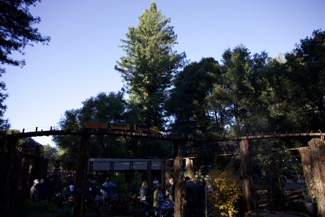 Enchanted Gathering at Filoli