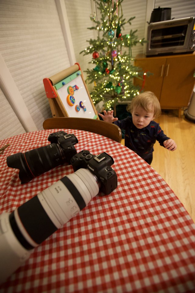 Young Child Reaching for Professional Camera Equipment at Christmas