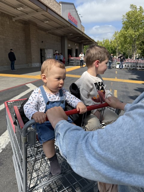 A Day Out in Danville