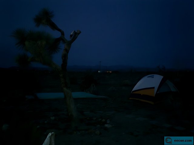 Desert Night Camping