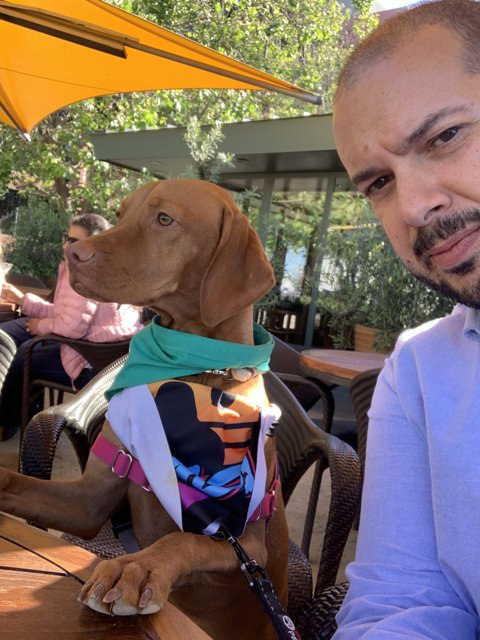 Man and Hound Enjoy Lunch Together