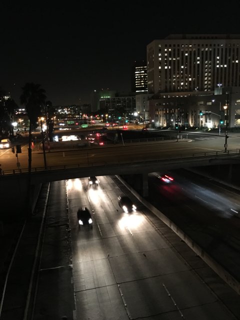 Nighttime Driving on LA's Busy Freeway