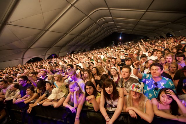Crowd of Music Lovers Sway to the Beat at 2008 Coachella Concert